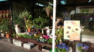 「フラワーショップ片山」　（岡山県岡山市中区）の花屋店舗写真1