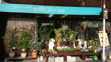 「フラワーショップ片山」　（岡山県岡山市中区）の花屋店舗写真2